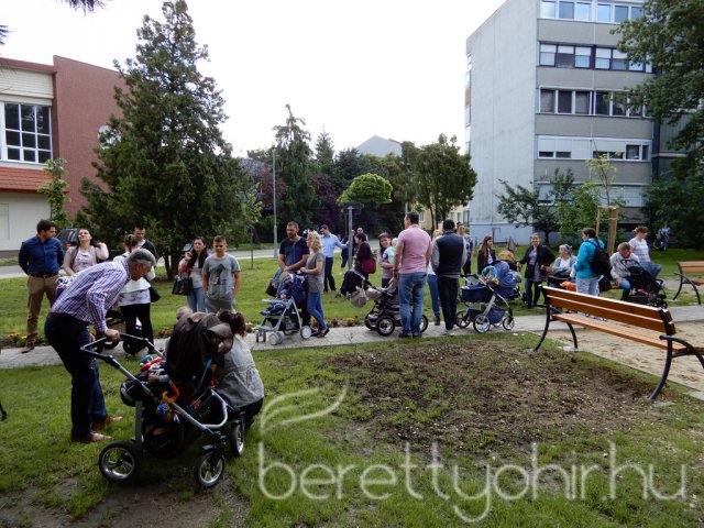 Életfát ültettünk 05